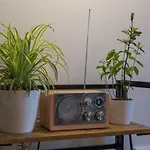 Apartment Henna Pula